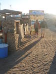 sharks bay1